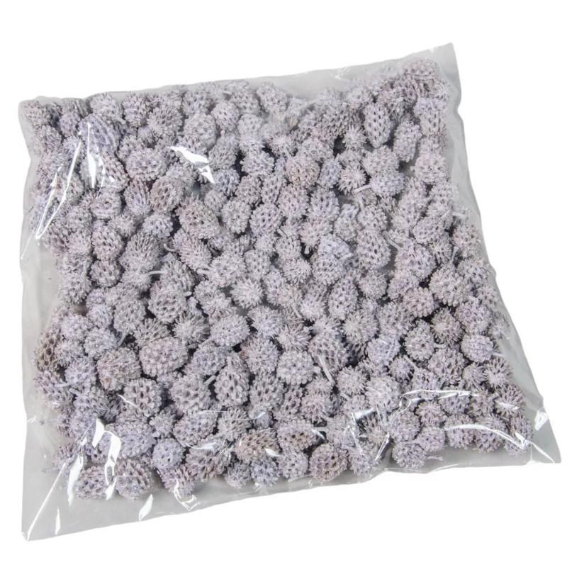 Casuarina 17 dkg - Falfestékes Lila