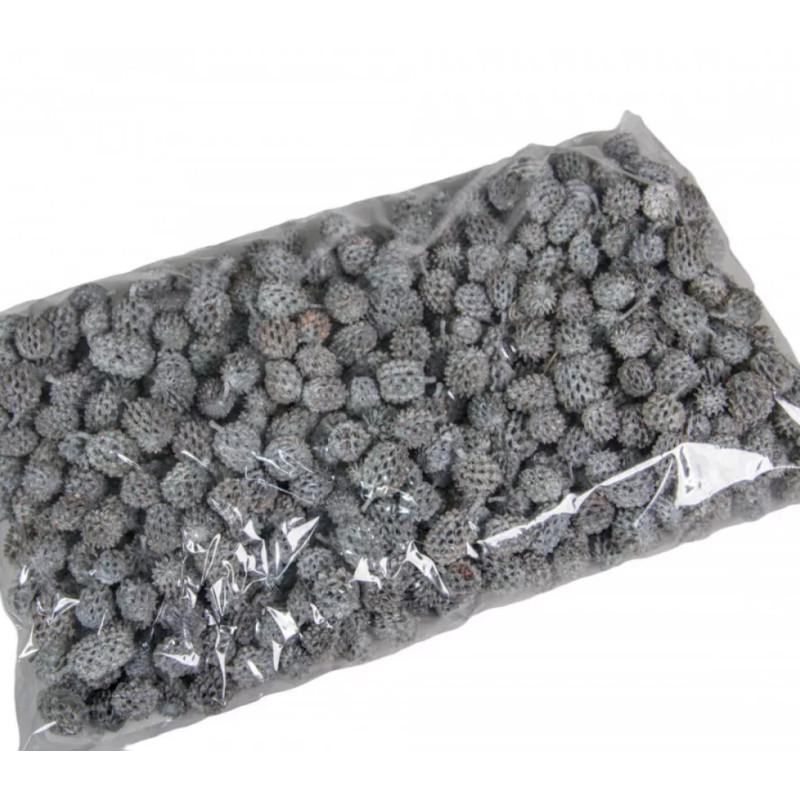 Casuarina 25 dkg - Falfestékes Szürke