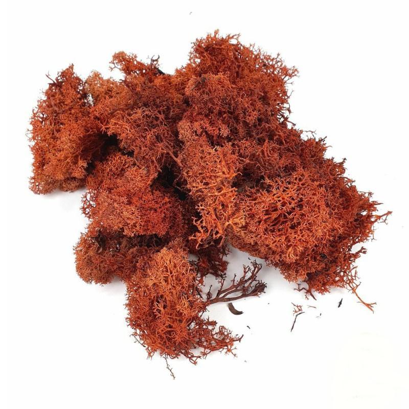 Izlandi Zuzmó - Barna 85 g