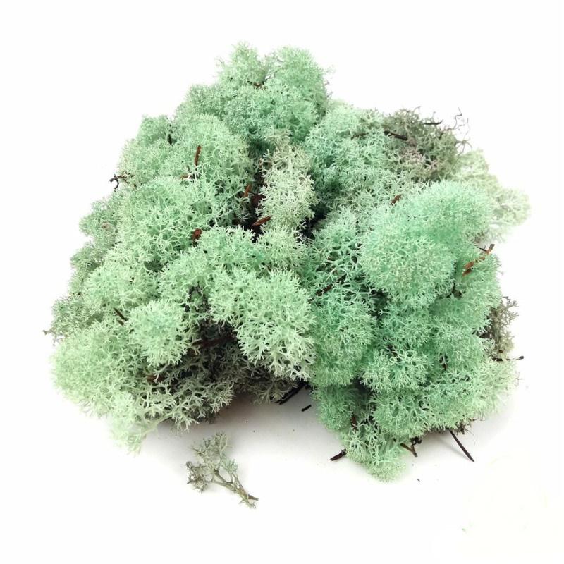 Izlandi Zuzmó - Hamvas zöld 85 g