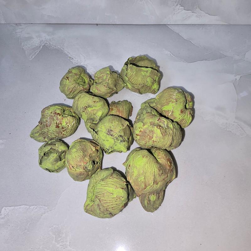 KIÖPRŐ AKCIÓ! Kókusz mini - Falfestékes Olíva 5 dkg