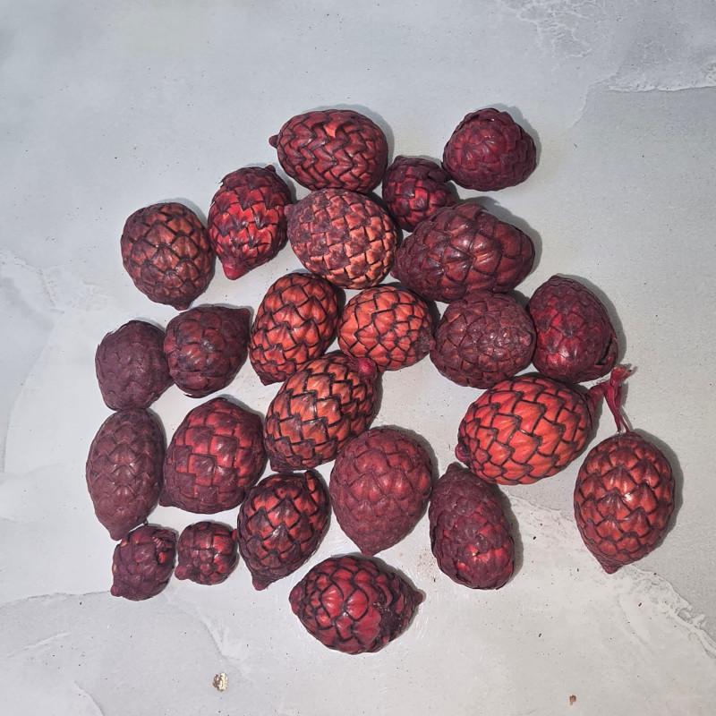 KISÖPRŐ AKCIÓ! Cane Fruit - Bordó 5 dkg