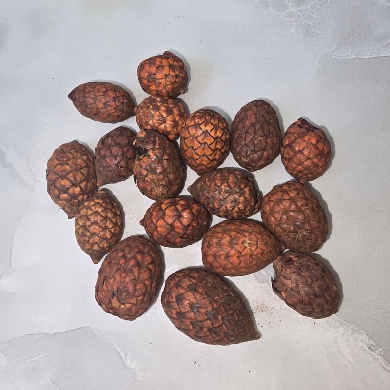 KISÖPRŐ AKCIÓ! Cane Fruit - Narancs 5 dkg