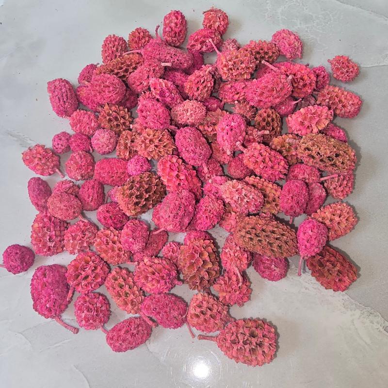 KISÖPRŐ AKCIÓ! Casuarina - Pink 5 dkg