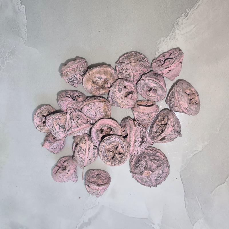 KISÖPRŐ AKCIÓ! Eukalyptus gomb - Falfestékes Rózsaszín 5 dkg