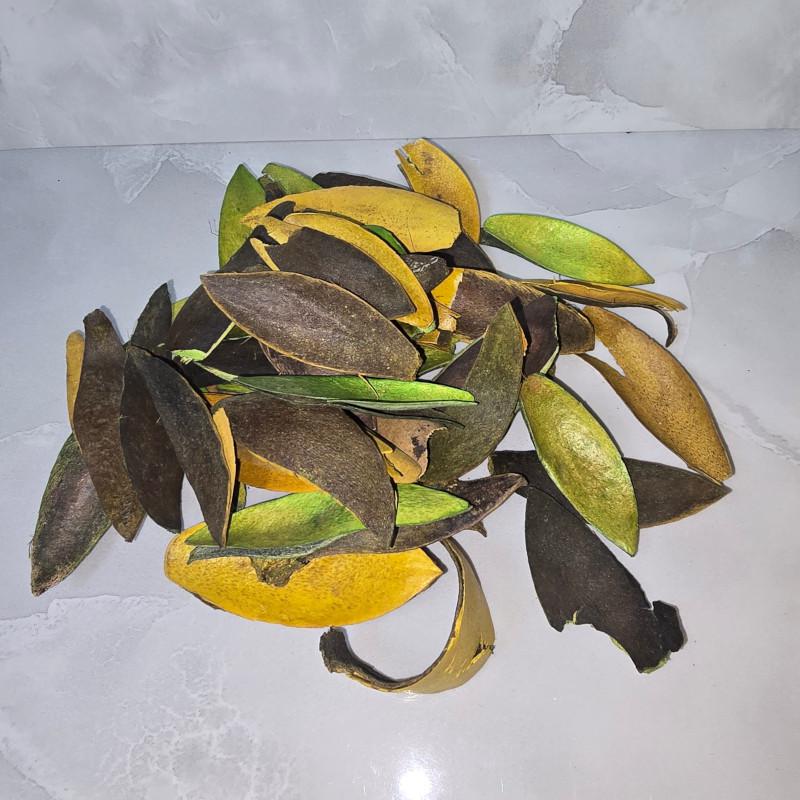 KISÖPRŐ AKCIÓ! Lili szirom - Zöld 3 dkg