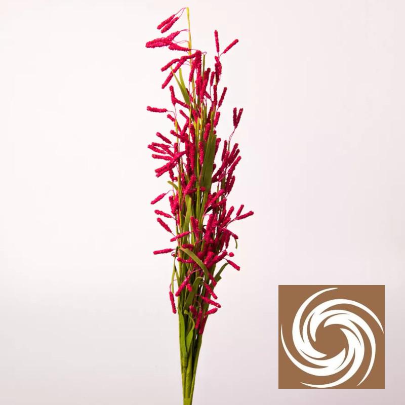 Macifüves csokor - Bordó