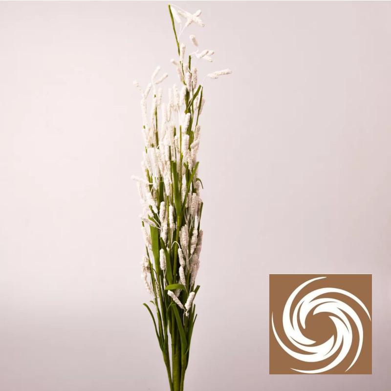 Macifüves csokor - Fehér