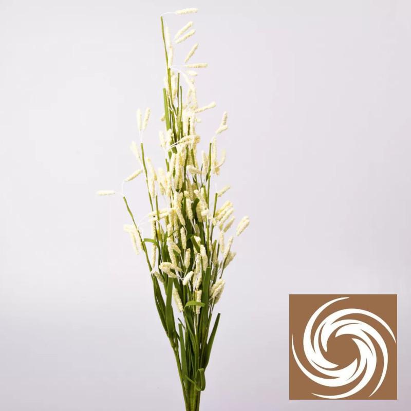 Macifüves csokor - Krém