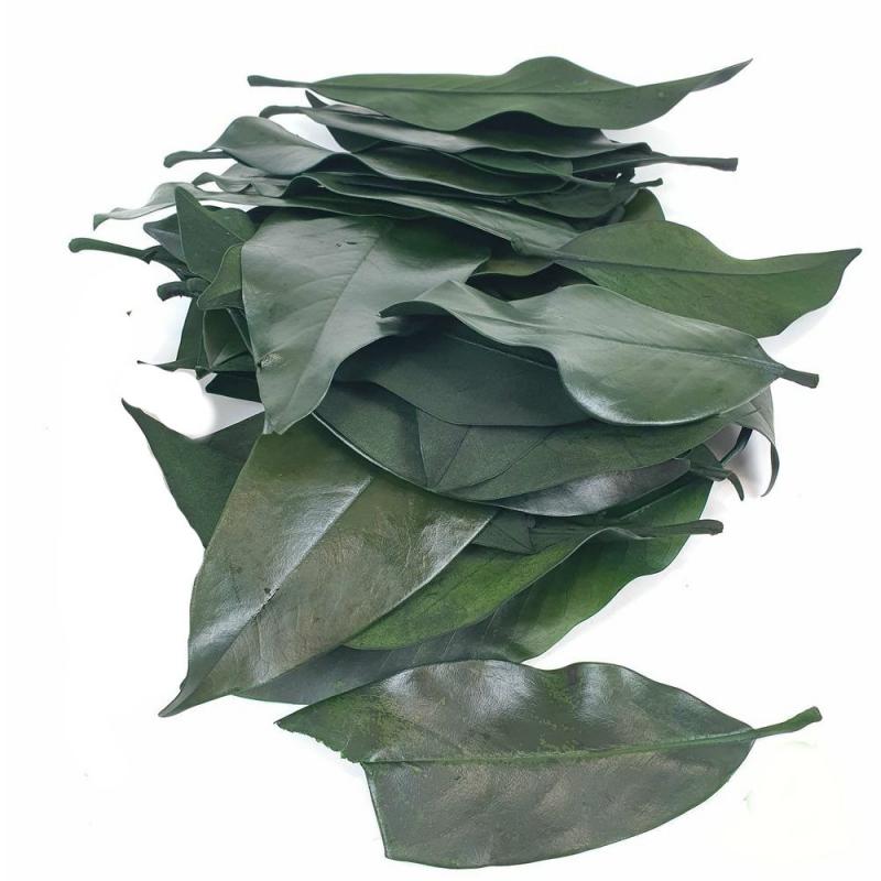 Magnólia levél - Világos zöld 15 dkg