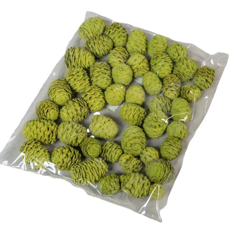 Meridianum 16 dkg - Falfestékes Olíva