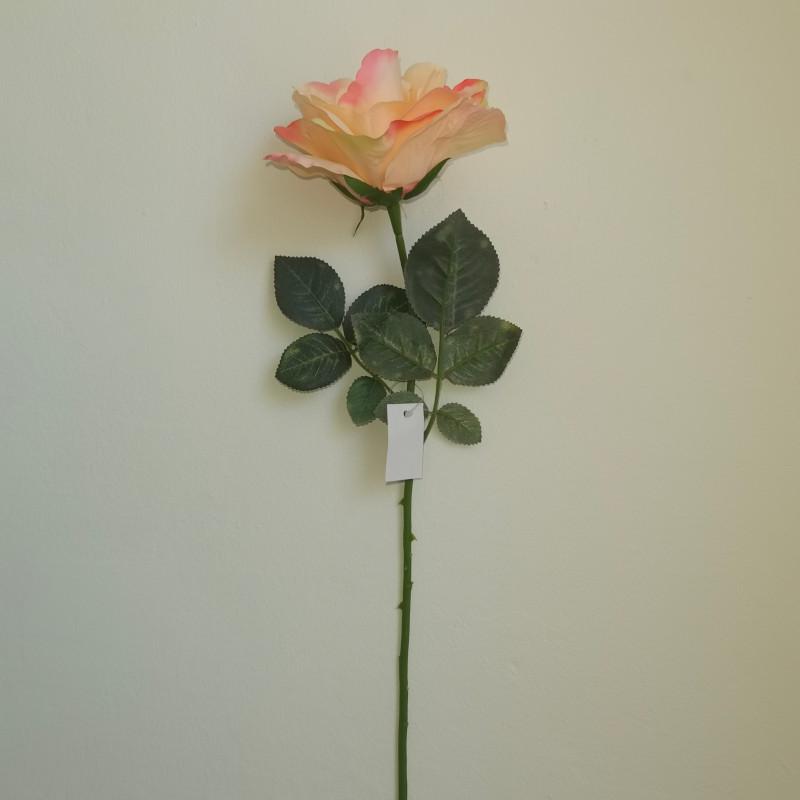 Nyílt Rózsa szár - Krém-rózsaszín