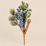 Áfonyabogyós pick 31 cm