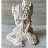 Groot Fa
