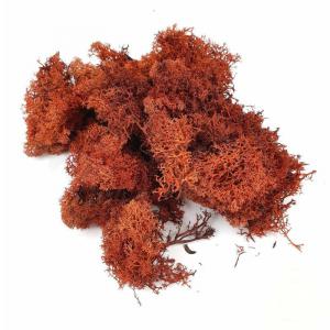 Izlandi Zuzmó - Barna 85 g