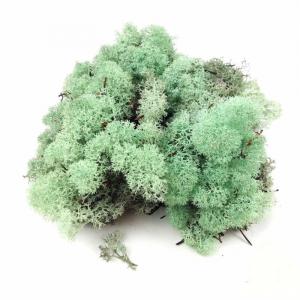 Izlandi Zuzmó - Hamvas zöld 85 g