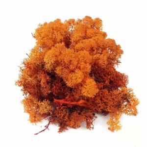 Izlandi Zuzmó - Narancs 85 g