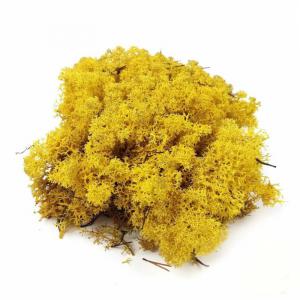 Izlandi Zuzmó - Sárga 85 g