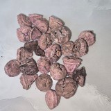 KISÖPRŐ AKCIÓ! Eukalyptus gomb - Falfestékes Mályva 5 dkg