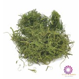 Kócos moha - Sötétzöld