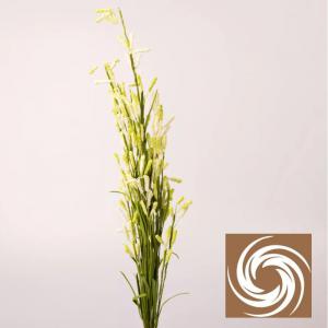 Macifüves csokor -Zöld-Fehér