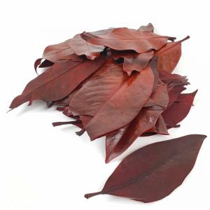 Magnólia levél - Bordó 15 dkg