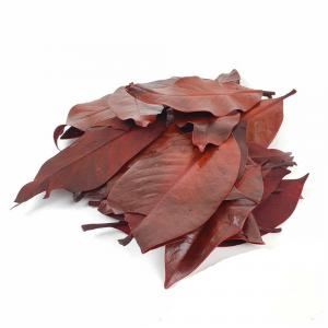 Magnólia levél - Narancs 15 dkg