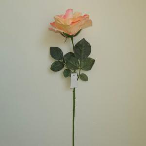 Nyílt Rózsa szár - Krém-rózsaszín