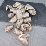 ÚJ SZÍN! Lali - Metál Pezsgő 5 dkg