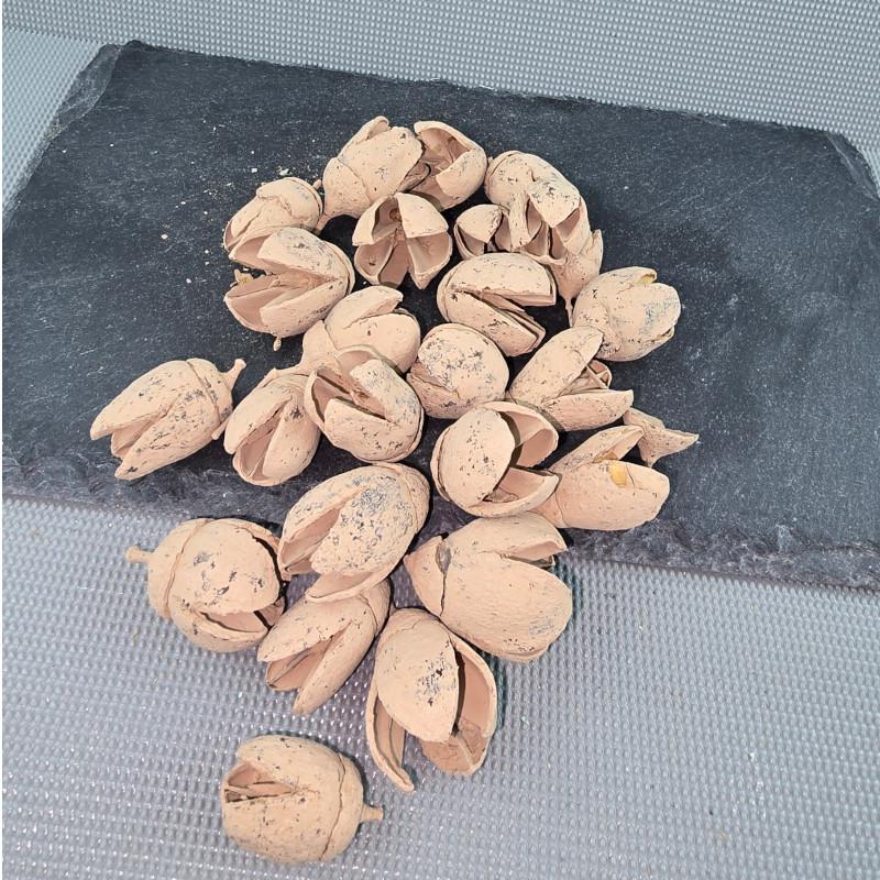 ÚJ SZÍN! Bakuli - Falfestékes Cappuccino 5 dkg