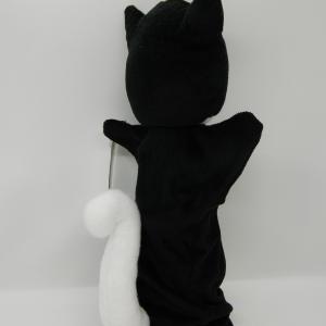 Fekete cica
