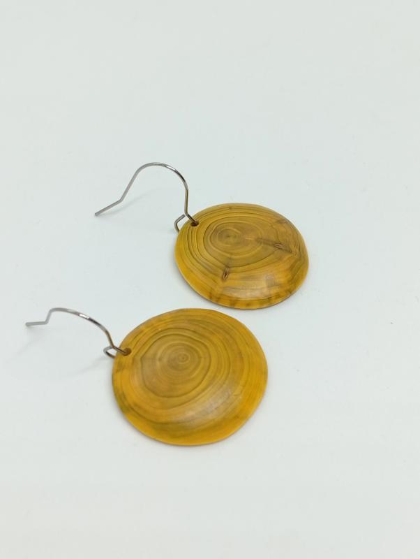 Fa fülbevaló -napsugár