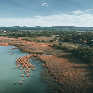 Tavasz 2
