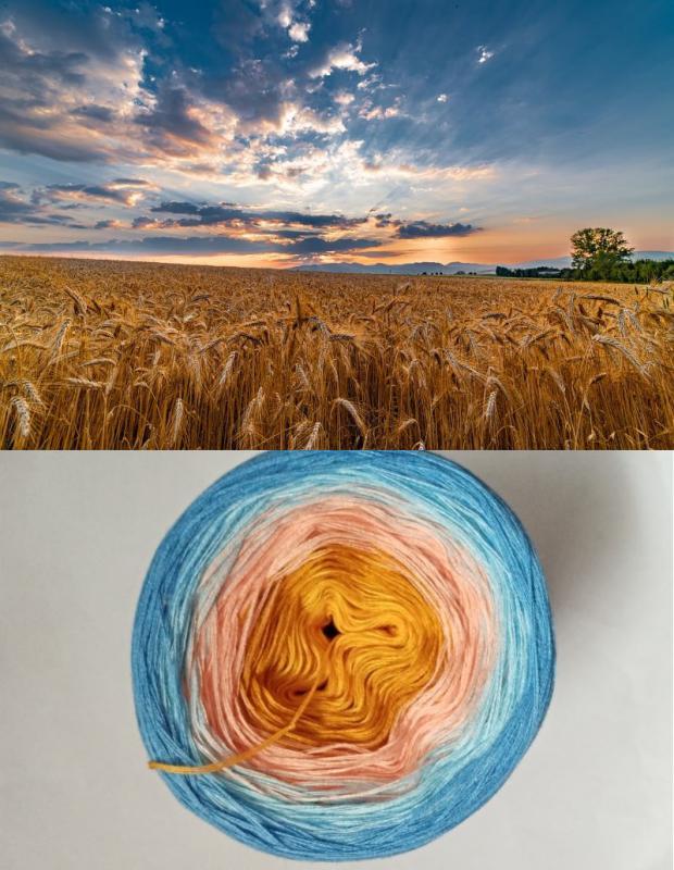 Búzamező