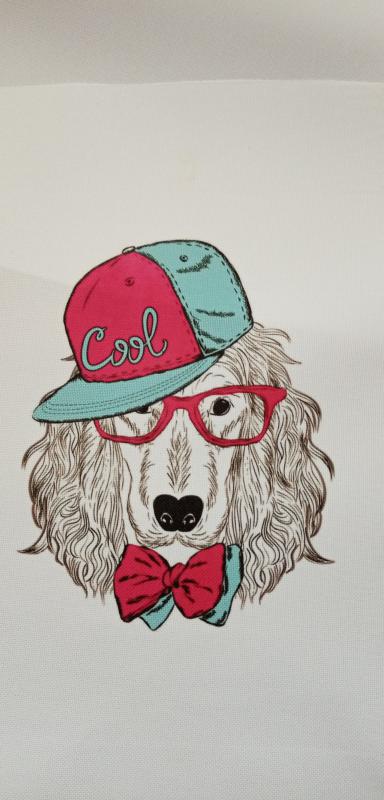 Cool dog