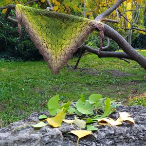 AVOKÁDÓ_1375_méter