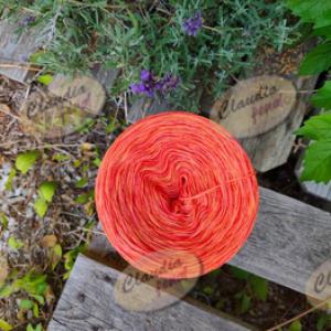 MANGO_SORBET_sparkle_1200_méter