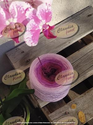 ORCHIDEA_1200_méter