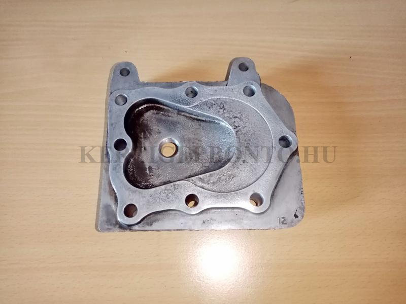 Briggs Quantum motor hengerfej