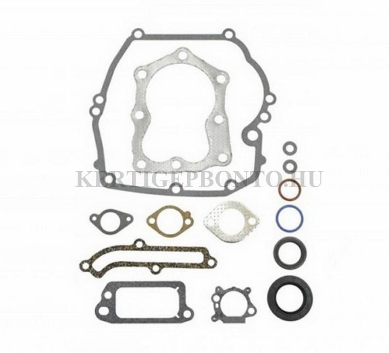 Briggs Quantum motor tömítés készlet