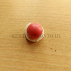 Briggs Sprint / Classic 375 / 4 Le motor karburátor szivatógomb ( tokkal )