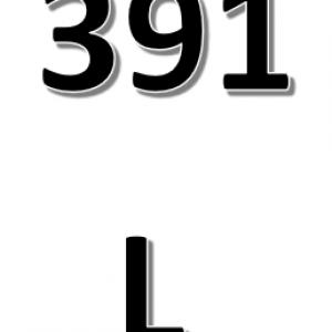 L-es Hibakódok 391