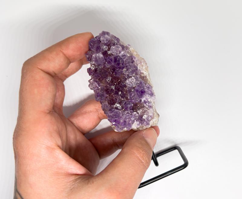 Ametiszt telep állványon 3