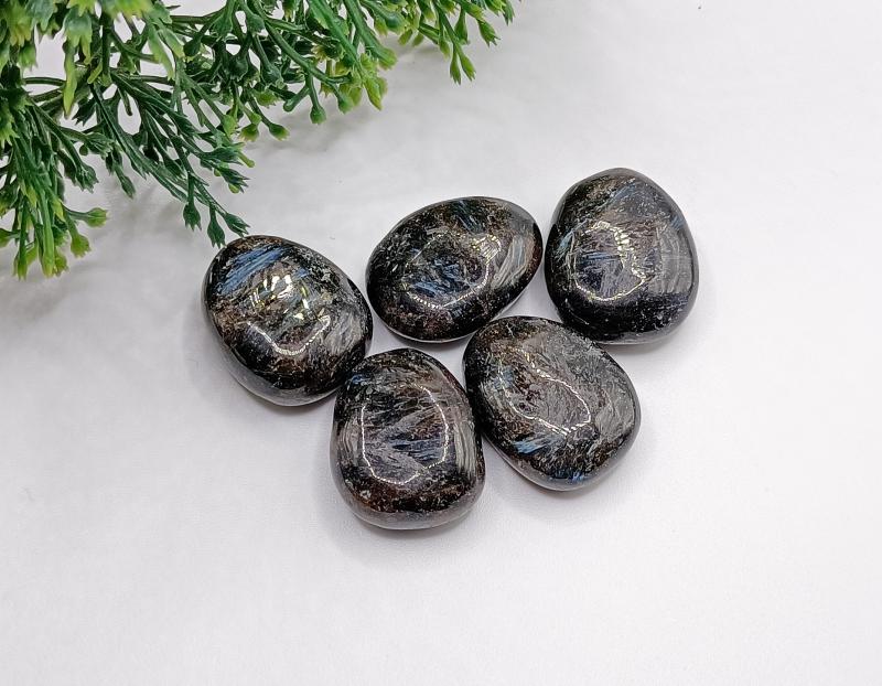 Asztrofillit marokkő