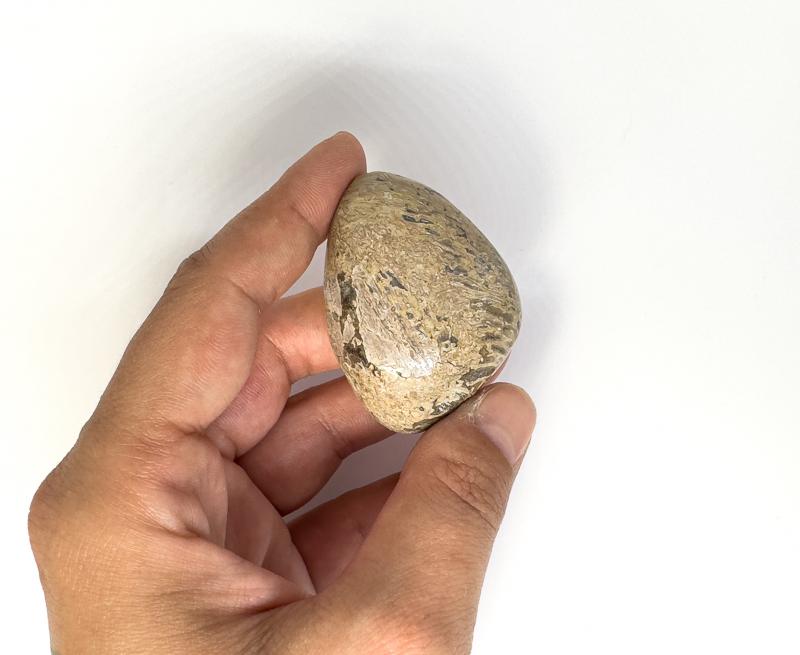 Dinoszaurusz csont csiszolt nagy marokkő