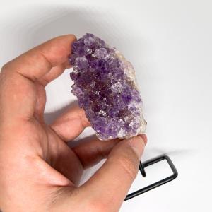 Ametiszt telep állványon 3