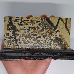 Dendrites Tájkép Jáspis állványon