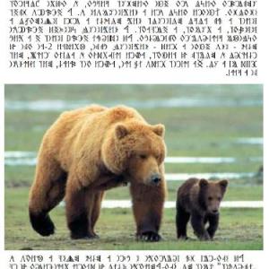 Írástudó újság 2021. második szám (február)