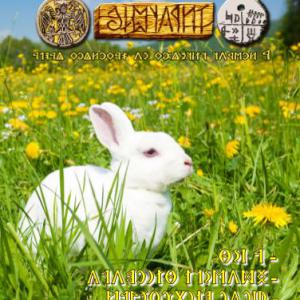 Írástudó újság 2021. negyedik szám (április) másolata