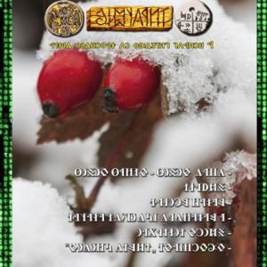 Írástudó újság 2025. első szám (január) (DIGITÁLIS VÁLTOZAT)